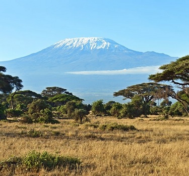 Serengeti Safari