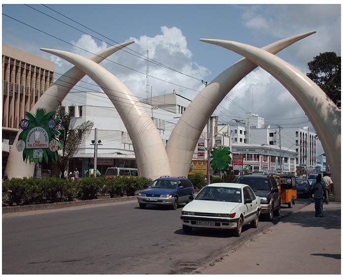 Elephant Tusks