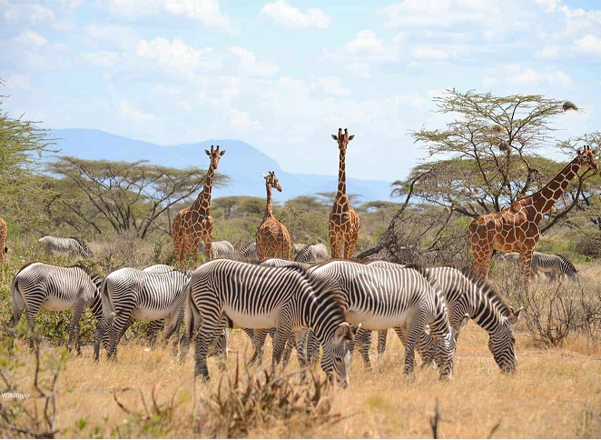 Samburu Packages